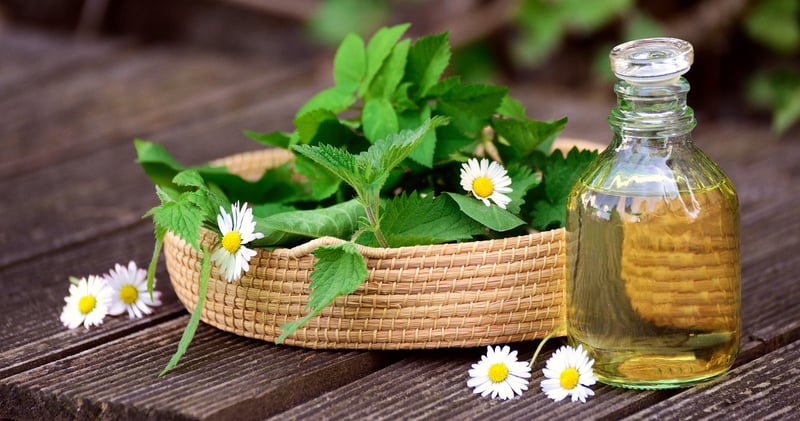 Medicinal Plants